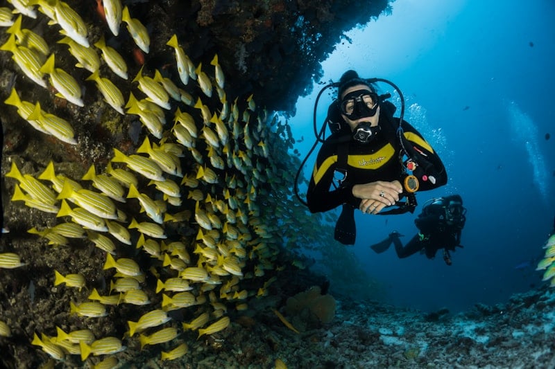 Snorkeling Mabul 2D1N